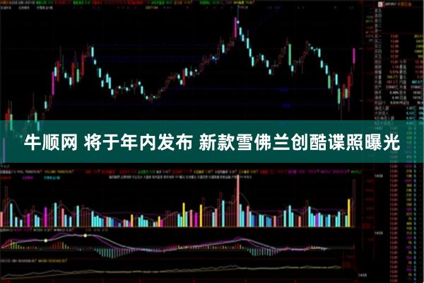 牛顺网 将于年内发布 新款雪佛兰创酷谍照曝光